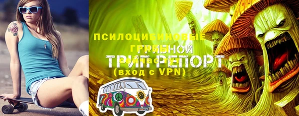 герыч Зеленодольск
