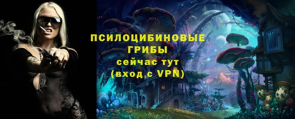 а пвп мука Сясьстрой