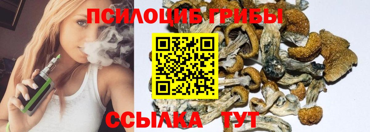 Псилоцибиновые грибы MAGIC MUSHROOMS  Вход с VPN  Саяногорск 